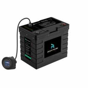 RoyPow IP65 S-Serie Batterie 12V 100Ah, LiFePO4