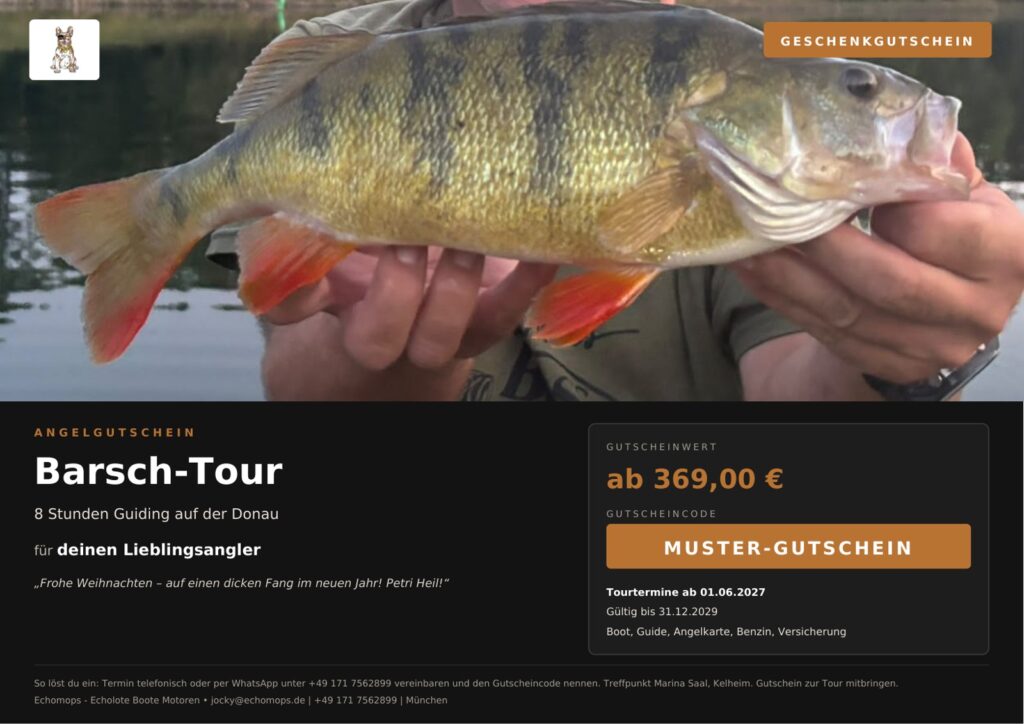 Angelgutschein Barsch-Tour – Guiding auf der Donau bei Kelheim