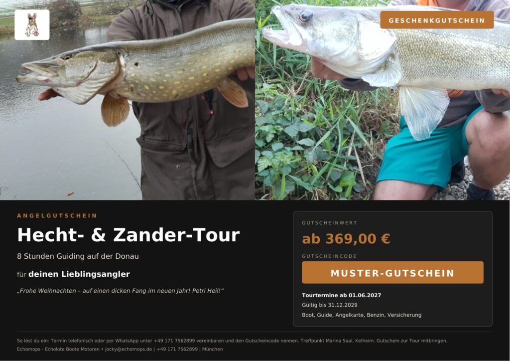 Angelgutschein Hecht- & Zander-Tour – Guiding auf der Donau bei Kelheim