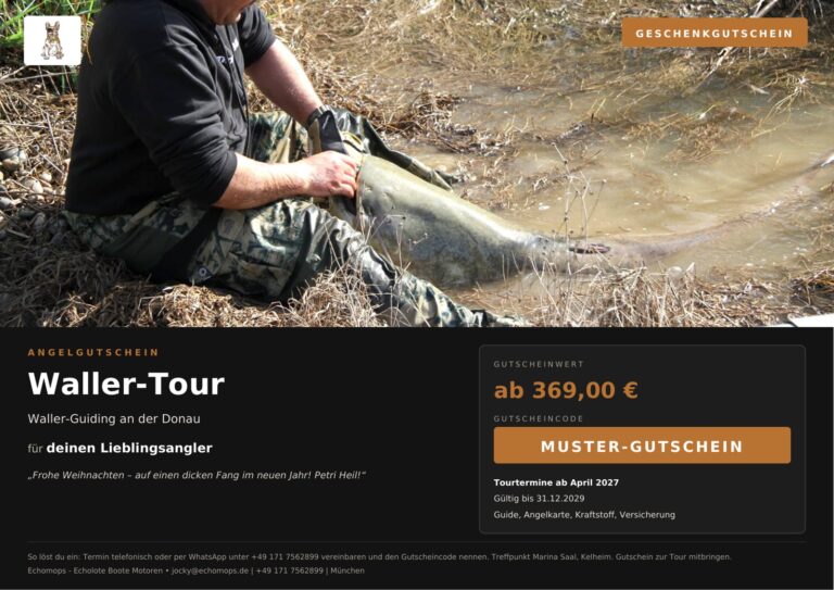 Angelgutschein Waller-Tour – Wels-Guiding an der Donau