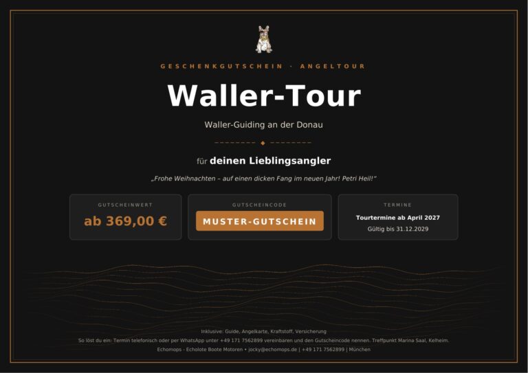 Angelgutschein Waller-Tour – Wels-Guiding an der Donau