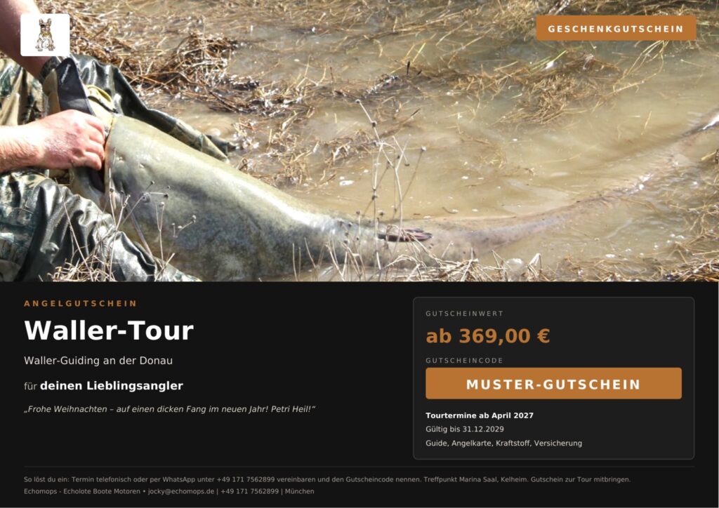 Angelgutschein Waller-Tour – Wels-Guiding an der Donau
