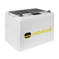 Rebelcell 24V50  Li-Ion Akku (1,25 kWh)